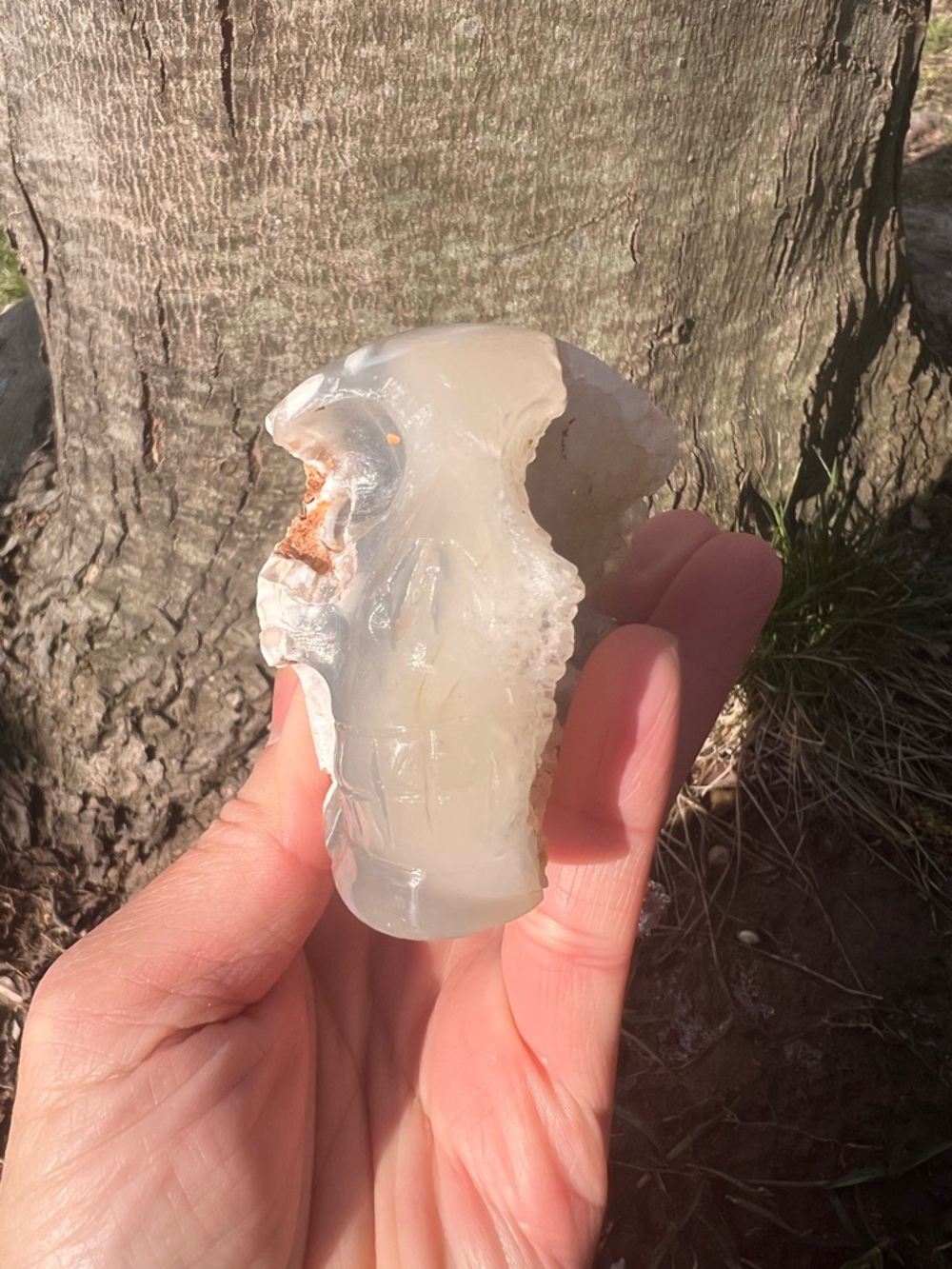 Skull (2) Skull Carving | crystal